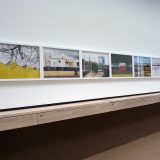 This Land exhibition 4